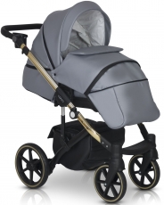 Дитяча коляска 2 в 1 Verdi Verso Gold G01 black